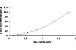 Typical standard curve (CPN2 Kit ELISA)