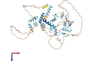 AlphaFold protein structure predicition of Human Recombinant ZNF18 Protein, UniprotID P17022