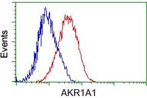 Image no. 4 for anti-Aldo-Keto Reductase Family 1, Member A1 (Aldehyde Reductase) (AKR1A1) antibody (ABIN1496541) (AKR1A1 anticorps)