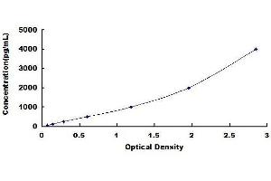 Typical standard curve