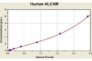Diagramm of the ELISA kit to detect Human ALCAMwith the optical density on the x-axis and the concentration on the y-axis. (CD166 Kit ELISA)