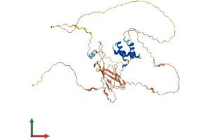 AlphaFold protein structure predicition of Mouse Recombinant Cabyr Protein, UniprotID Q9D424