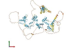 AlphaFold protein structure predicition of Human Recombinant ZBTB17 Protein, UniprotID Q13105