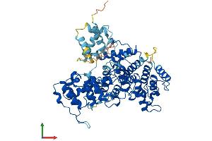 AlphaFold protein structure predicition of Mouse Recombinant Pls3 Protein, UniprotID Q99K51