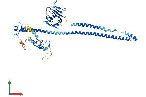 AlphaFold protein structure predicition of Human Recombinant TRIM7 Protein, UniprotID Q9C029