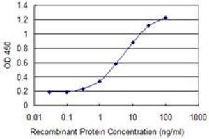 Detection limit for recombinant GST tagged CTNNB1 is 0. (CTNNB1 anticorps  (AA 682-781))