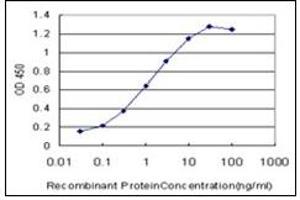 ELISA image for anti-Myosin 9 (MYH9) (AA 131-221) antibody (ABIN781937)