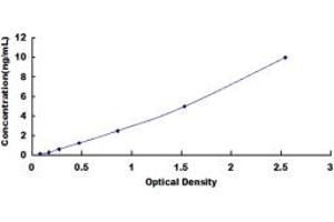 Typical standard curve (LGI3 Kit ELISA)