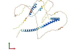 AlphaFold protein structure predicition of Human Recombinant HEXIM1 Protein, UniprotID O94992