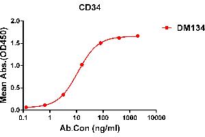 ELISA plate pre-coated by 1 μg/mL (100 μL/well) Human CD34 protein, His tagged protein ABIN6961155, ABIN7042339 and ABIN7042340 can bind Rabbit anti-CD34 monoclonal antibody (clone: DM134) in a linear range of 0. (CD34 anticorps  (AA 32-290))