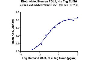 Immobilized Biotinylated Human FGL1 at 0.