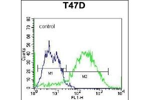 C Antibody (C-term) (Ascites) ABIN1539995 flow cytometric analysis of T47D cells (right histogram) compared to a negative control cell (left histogram). (Syndecan 1 anticorps  (C-Term))