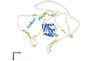 AlphaFold protein structure predicition of Mouse Recombinant Blnk Protein, UniprotID Q9QUN3