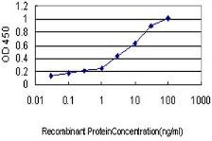 Detection limit for recombinant GST tagged ZNF622 is approximately 0.
