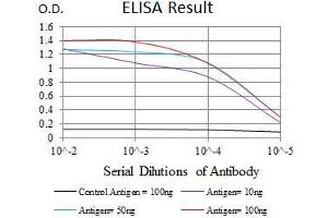 Black line: Control Antigen (100 ng), Purple line: Antigen(10 ng), Blue line: Antigen (50 ng), Red line: Antigen (100 ng), (MRPL42 anticorps  (AA 10-142))