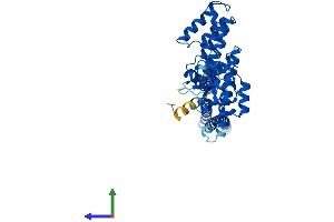AlphaFold protein structure predicition of Human Recombinant MAEA Protein, UniprotID Q7L5Y9