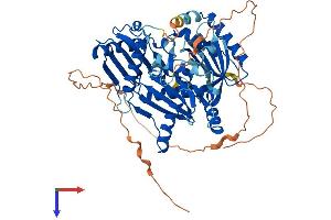AlphaFold protein structure predicition of Mouse Recombinant Mon1b Protein, UniprotID Q8BMQ8