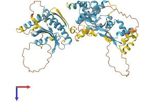 AlphaFold protein structure predicition of Mouse Recombinant Nprl3 Protein, UniprotID Q8VIJ8