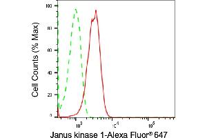 Flow cytometric analysis of Janus kinase 1 expression in HepG2 cells using Janus kinase 1 antibody (ABIN7799140), 1:2,000). (Recombinant JAK1 anticorps)