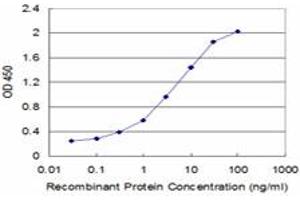 Detection limit for recombinant GST tagged CAPZB is approximately 0. (CAPZB anticorps  (AA 192-272))