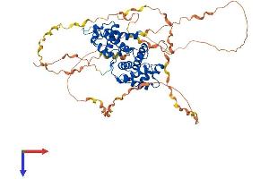 AlphaFold protein structure predicition of Mouse Recombinant Ccnk Protein, UniprotID O88874