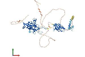 AlphaFold protein structure predicition of Mouse Recombinant Ebf1 Protein, UniprotID Q07802