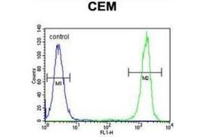Flow cytometric analysis of CEM cells (right histogram) compared to a negative control cell (left histogram) using NUDT22  Antibody (C-term), followed by FITC-conjugated goat-anti-rabbit secondary antibodies. (NUDT22 anticorps  (C-Term))