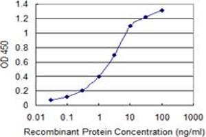 Detection limit for recombinant GST tagged KIT is 0.