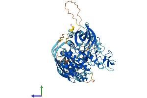AlphaFold protein structure predicition of Mouse Recombinant Prkch Protein, UniprotID P23298