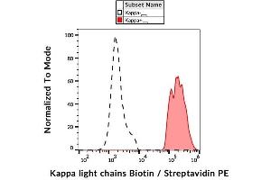 Surface staining of kappa light chains in human peripheral blood cells with anti-kappa light chains (TB28-2) biotin, streptavidin-PE. (kappa Light Chain anticorps  (Biotin))