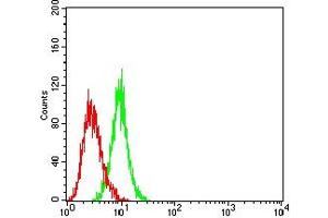 Flow cytometric analysis of HL-60 cells using CD30 mouse mAb (green) and negative control (red).