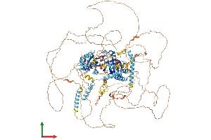 AlphaFold protein structure predicition of Human Recombinant PER2 Protein, UniprotID O15055