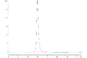 The purity of Biotinylated Human M-CSF R is greater than 95 % as determined by SEC-HPLC.