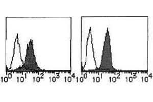 Flow Cytometry (FACS) image for anti-MHC Class I Polypeptide-Related Sequence A (MICA) antibody (ABIN1108244) (MICA anticorps)
