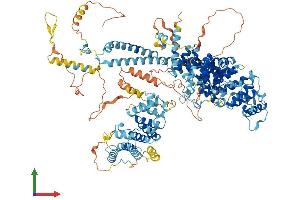 AlphaFold protein structure predicition of Human Recombinant TTC17 Protein, UniprotID Q96AE7