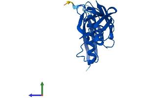 AlphaFold protein structure predicition of Mouse Recombinant Rpl9 Protein, UniprotID P51410