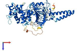 AlphaFold protein structure predicition of Mouse Recombinant Tbccd1 Protein, UniprotID Q640P7