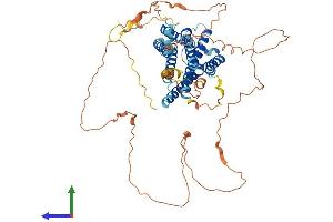 AlphaFold protein structure predicition of Mouse Recombinant Adgra1 Protein, UniprotID Q8C4G9