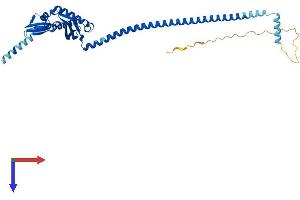 AlphaFold protein structure predicition of Mouse Recombinant Erlin2 Protein, UniprotID Q8BFZ9