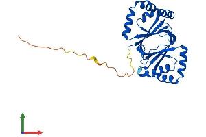 AlphaFold protein structure predicition of Human Recombinant NIPSNAP3A Protein, UniprotID Q9UFN0