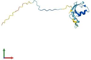 AlphaFold protein structure predicition of Mouse Recombinant Rbx1 Protein, UniprotID P62878