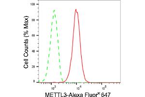 Flow cytometric analysis of METTL3 expression in HepG2 cells using METTL3 antibody (ABIN7799400), 1:2,000). (Recombinant METTL3 anticorps)