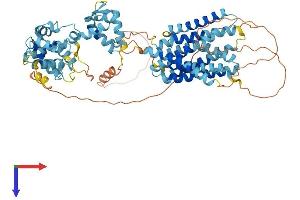 AlphaFold protein structure predicition of Human Recombinant SLC39A12 Protein, UniprotID Q504Y0