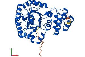 AlphaFold protein structure predicition of Mouse Recombinant Dus4l Protein, UniprotID Q32M08