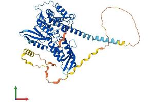 AlphaFold protein structure predicition of Mouse Recombinant Pxk Protein, UniprotID Q8BX57