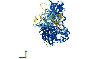 AlphaFold protein structure predicition of Mouse Recombinant Plcd1 Protein, UniprotID Q8R3B1