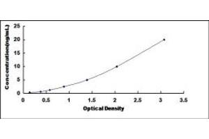 Typical standard curve (CENPE Kit ELISA)