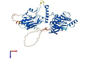 AlphaFold protein structure predicition of Human Recombinant B4GALNT2 Protein, UniprotID Q8NHY0