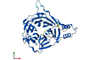 AlphaFold protein structure predicition of Human Recombinant KLHDC3 Protein, UniprotID Q9BQ90