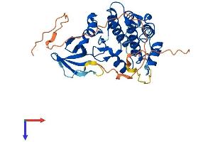 AlphaFold protein structure predicition of Mouse Recombinant Trib3 Protein, UniprotID Q8K4K2